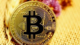 Cathie Wood Bidik Bitcoin US$730.000 Saat Rasio BTC-Emas Tembus 18