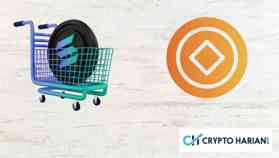 Solana Akhirnya Tersambung dengan Ethereum! Bagaimana Nasib SOL?