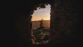 Greenfield 展望加密 2026 ：十大关键问题与机会