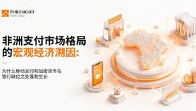 非洲支付市场格局的宏观经济溯因