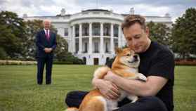 Shiba Inu wil aandacht van Elon Musk, ondanks uitspraak over bezit