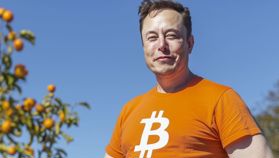 Elon Musk zegt dat meeste crypto’s scams zijn