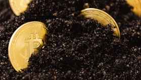 Volgens nieuwe data heeft Bitcoin bodem nog niet bereikt en kan koers verder zakken