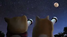 ETF-ul DOGE care va fi lansat pe 11 septembrie ar putea impulsiona prețul surorii sale, NEIRO