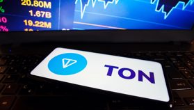 TON Foundation krabbelt terug: geen Gouden Visum via VAE-overheid