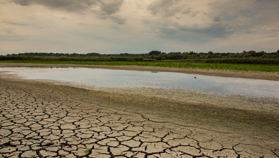 Europese droogte raakt economie: Duitsland dreigt miljarden te verliezen