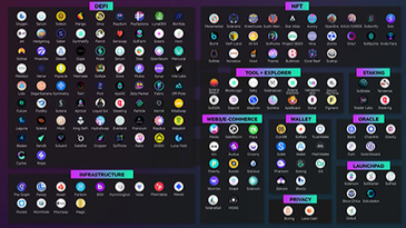 What Are the Top 10 Solana Projects? | CoinCarp