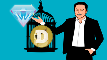 Diamond Hands: What They Are and How to Have Them in Crypto? | CoinCarp